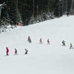 phoca_thumb_m_lye 2.den  82 Fotogalerie
